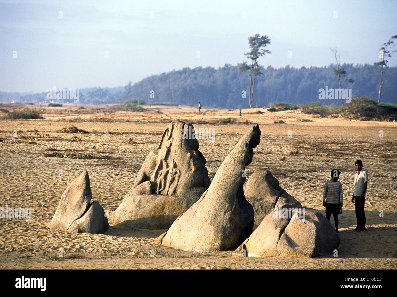Rock carving unearthed by tsunami ; Mahabalipuram Mamallapuram ; Tamil Nadu ; India Stock Photo