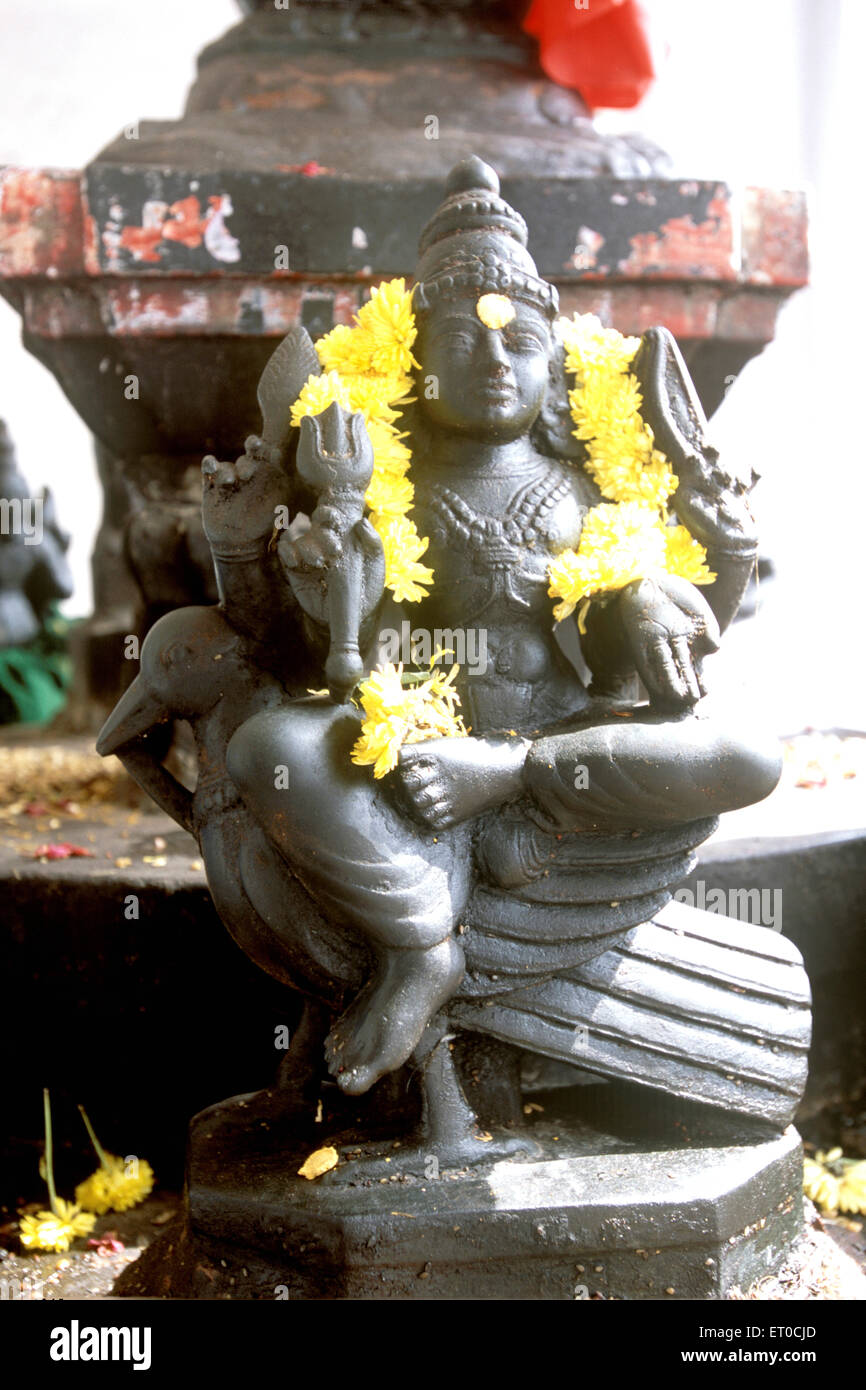 Shani Bhagvan Hindu God Mounted On Crow In Mallikeshvarar Temple In Stock Photo Alamy Shani Bhagvan Hindu God Mounted On Crow In Mallikeshvarar Temple In Stock Photo Alamy