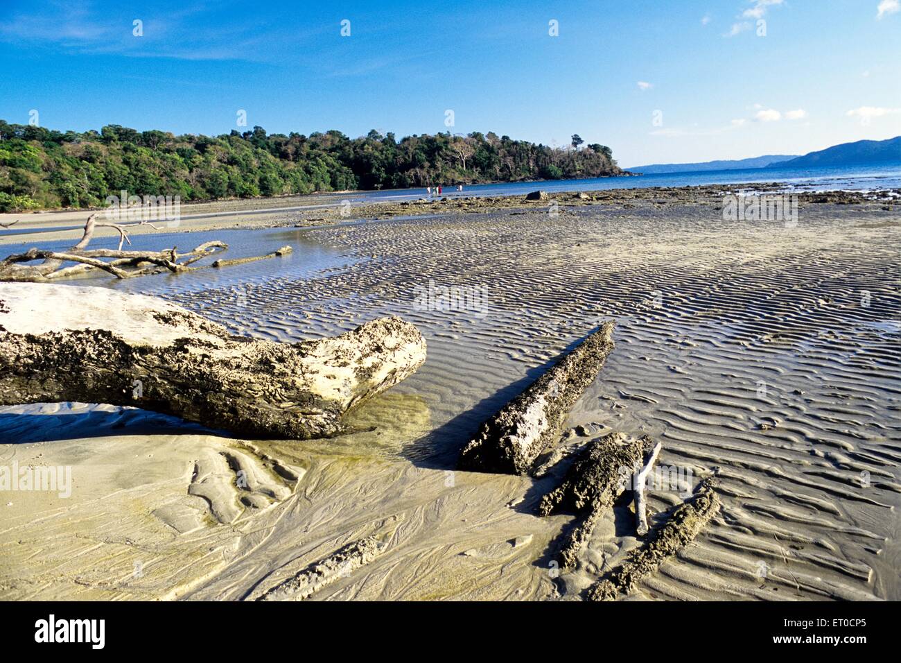 Chidiya Tapu Beach, Andaman Islands, Andaman and Nicobar Islands, Union Territory, UT, India, Asia Stock Photo