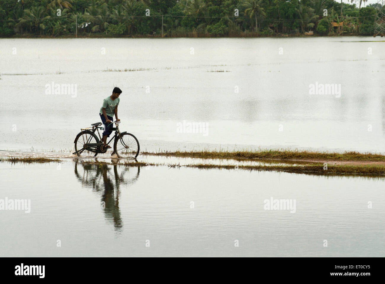 Man on bicycle going through road covered with water due to monsoon ; Alappuzha Alleppey ; Kerala ; India Stock Photo