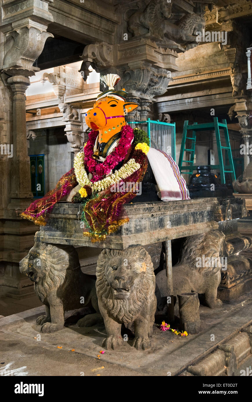 Nandi bull, Ainootheswarar Periyanayaki temple, Mathur, Karaikudi, Tamil Nadu, India, Asia Stock Photo