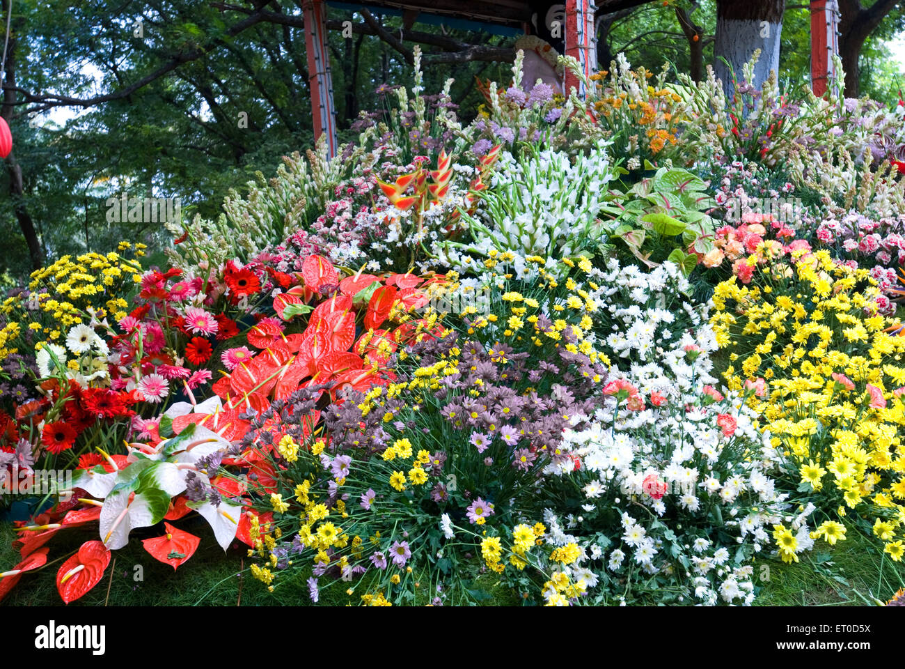 Flower show ; Coimbatore ; Tamil Nadu ; India ; Asia Stock Photo Alamy