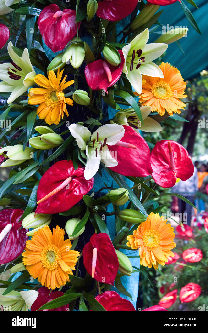 Flowers of tamil nadu hi-res stock photography and images - Alamy