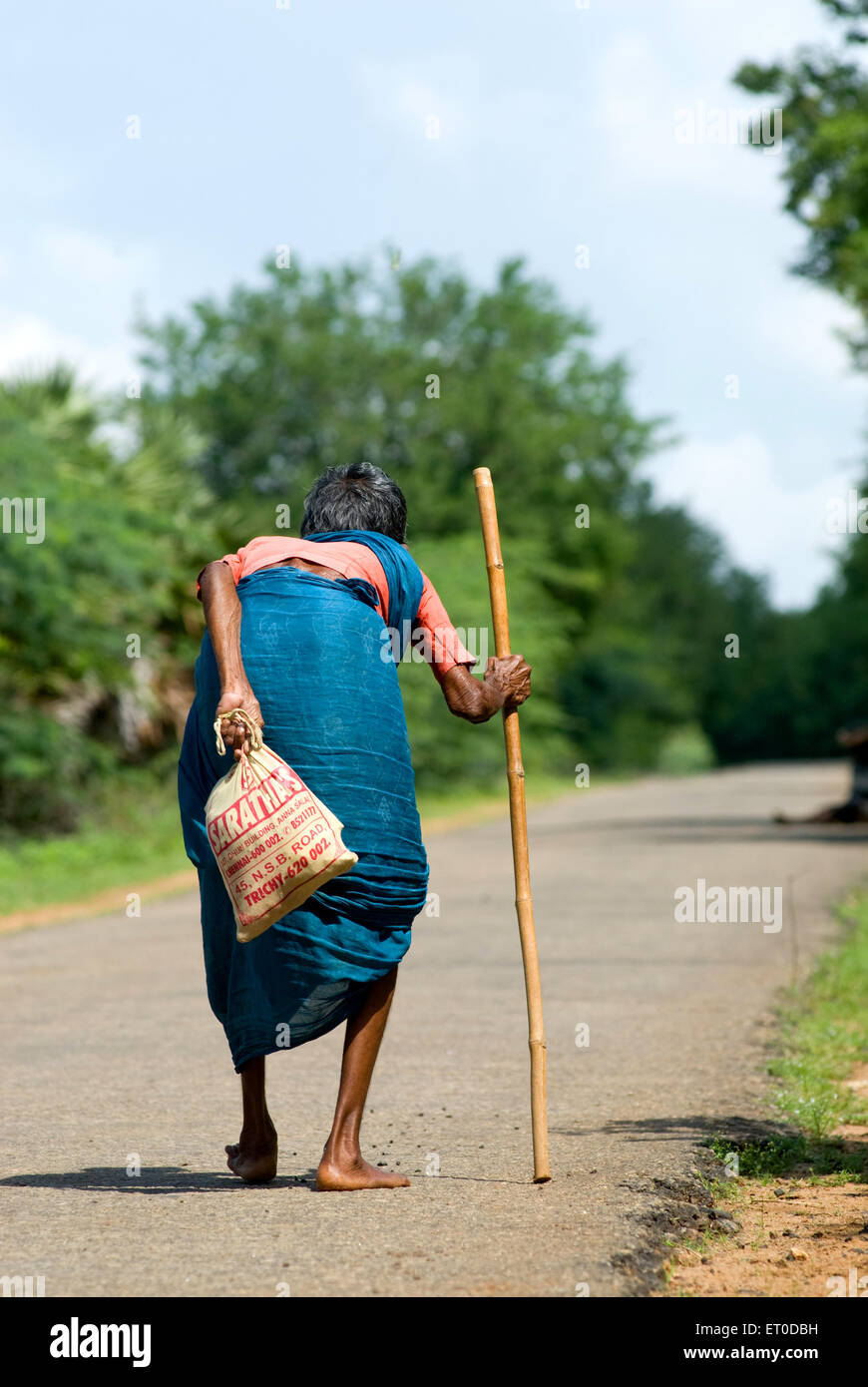 Old woman bent with age walking with stick ; Tamil Nadu ; India - maa 169462 Stock Photo