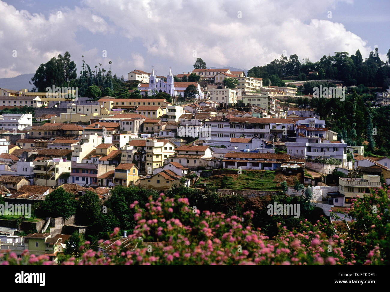 Hill Station, Coonoor, Nilgiris, Nilgiri Hills, Western Ghats, Tamil Nadu, India, Asia Stock Photo