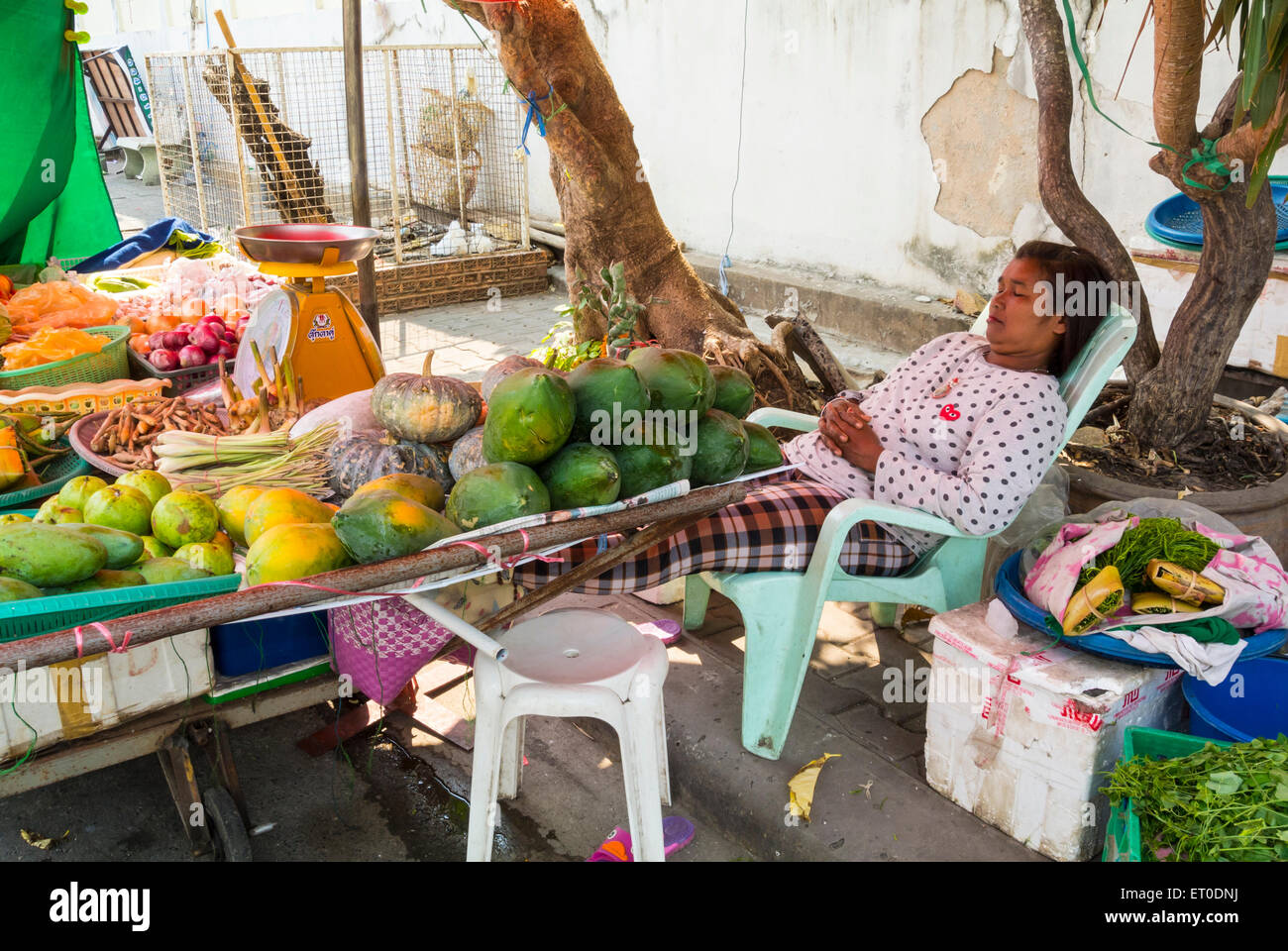 Thai woman catnapping Lopburi Thailand Stock Photo