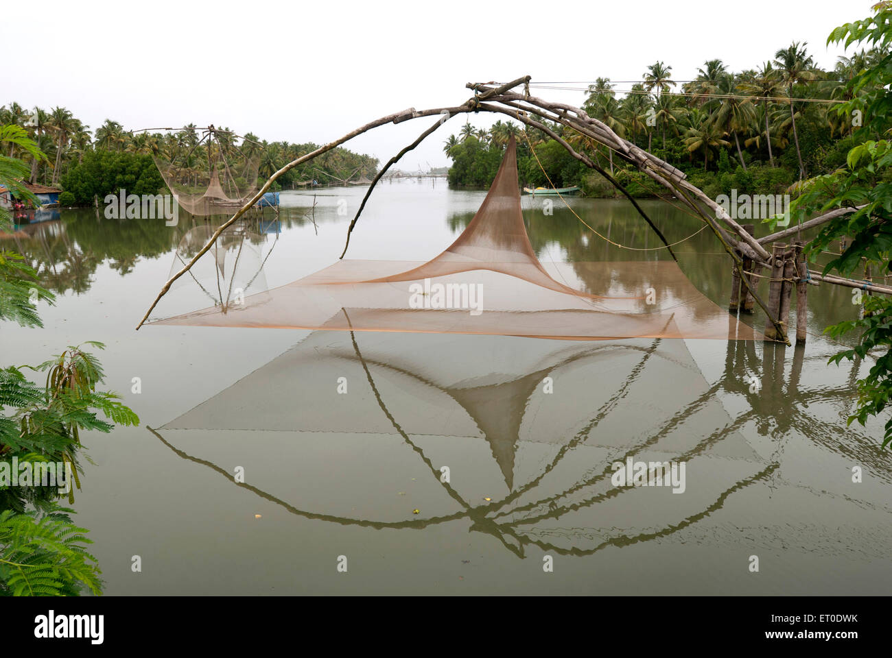 Landing net on tree hi-res stock photography and images - Alamy