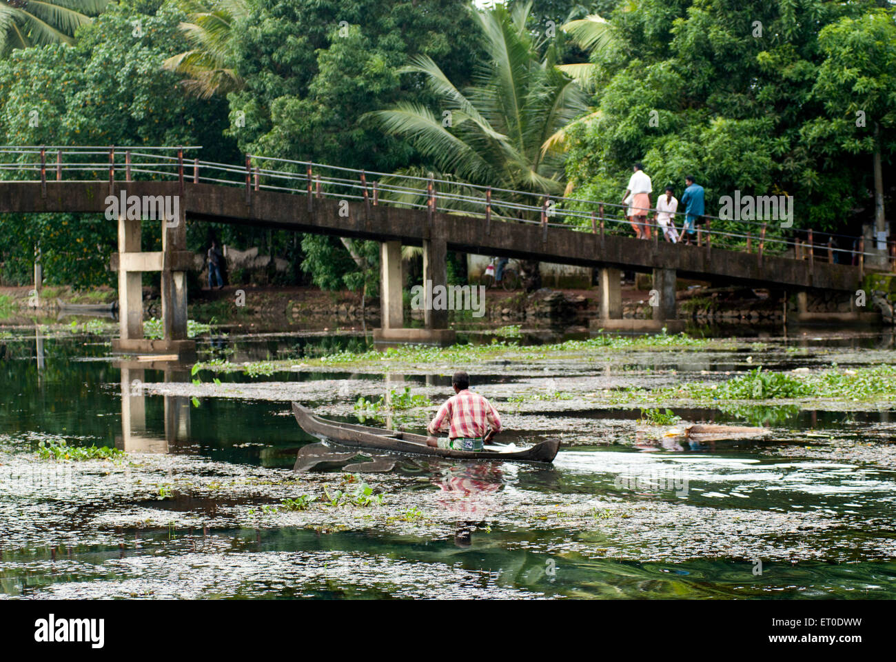 Kuttanad kerala hi-res stock photography and images - Alamy