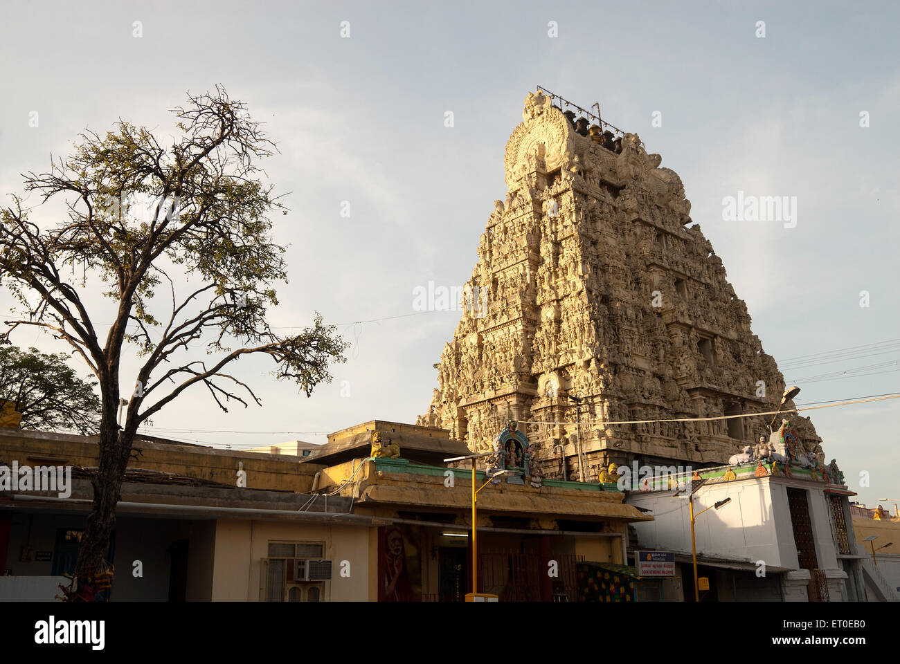 Kamakshi Amman temple  ; Kanchipuram kancheepuram  ; Tamil Nadu  ; India Stock Photo