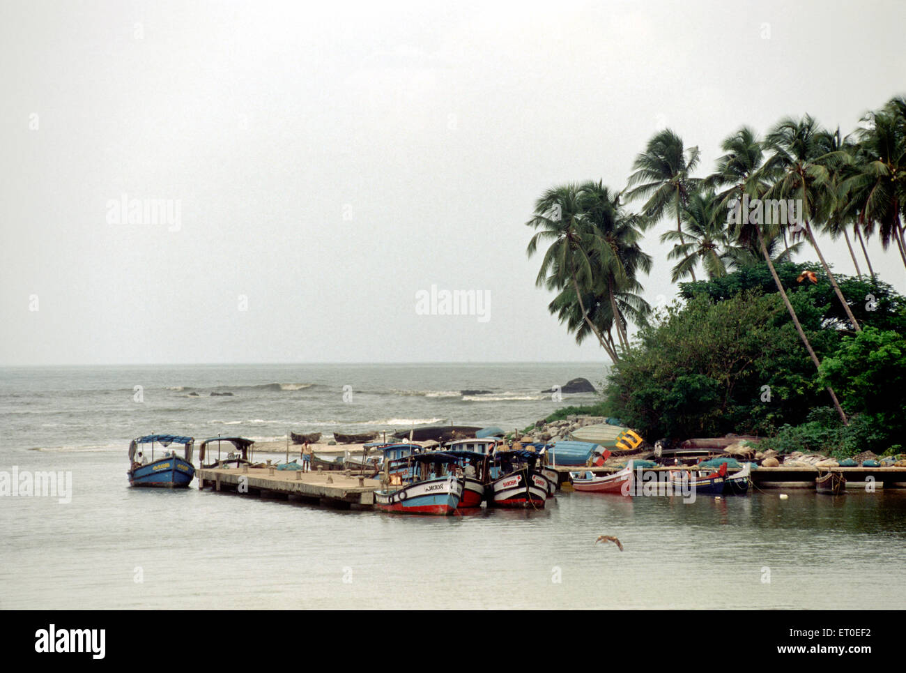 Backwater, Mahe, Mayyazhi, Pondicherry, Puducherry, Tamil Nadu, Union Territory , UT, India, Asia Stock Photo