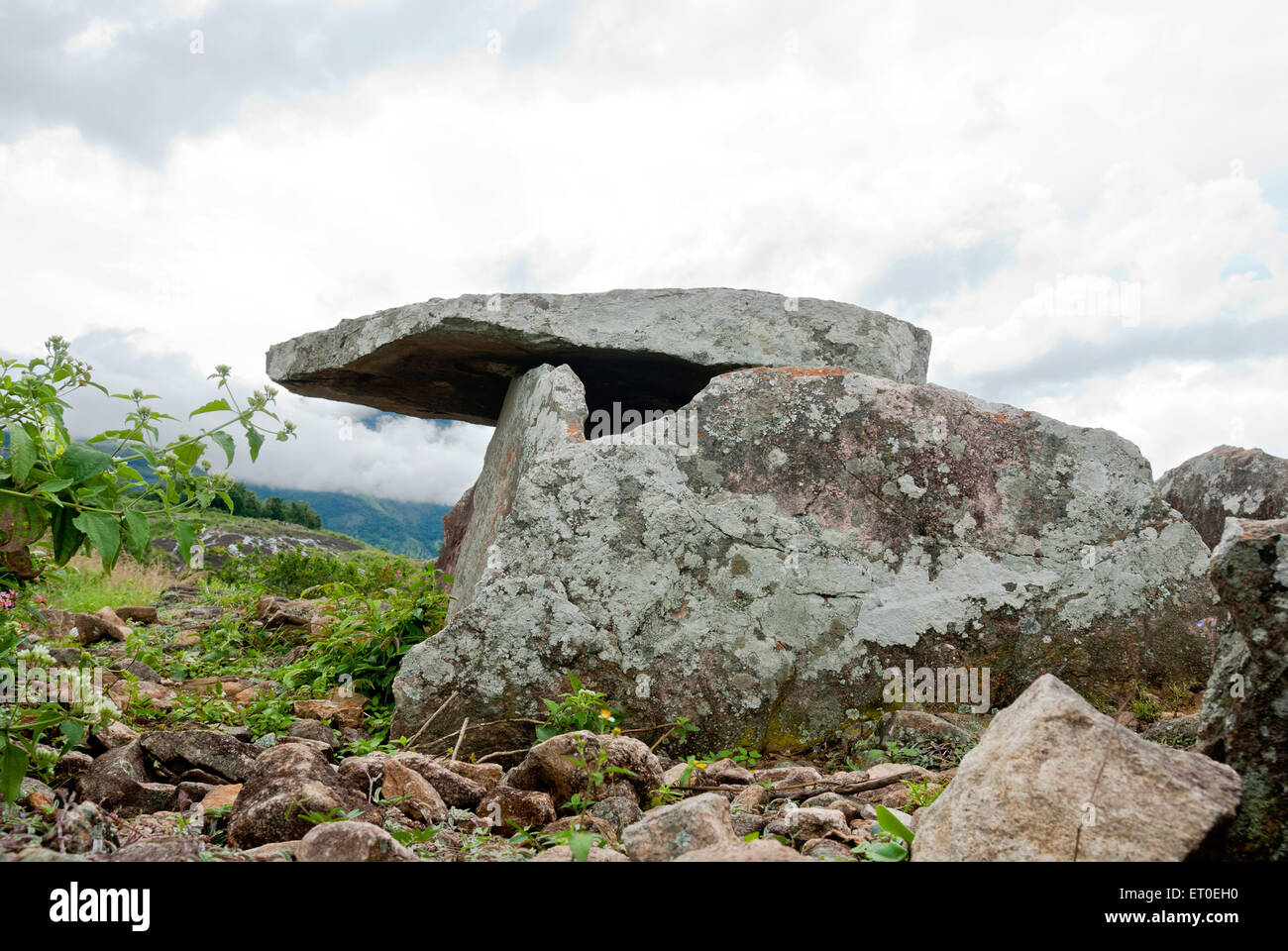 Megalithic dolmens or muniyaras at kovilkadavu ; Kerala ; India Stock Photo