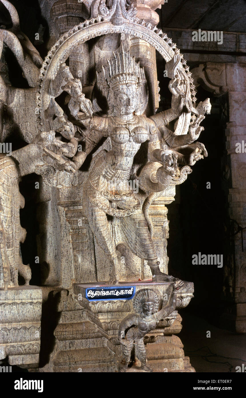 Goddess Kali Mata Statue, Nemam Temple, Chettinad, Chettinadu, Pudukottai, Sivaganga district, Tamil Nadu, India, Asia Stock Photo