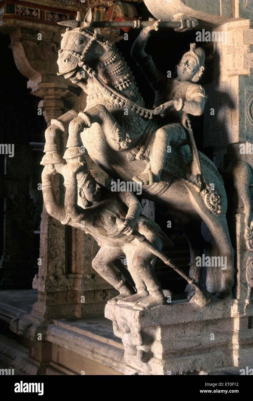 Horse statue at Vairavanpatti Shiva temple 1 of the 9 Clan temple of chettinad Tamil Nadu INDIA Stock Photo