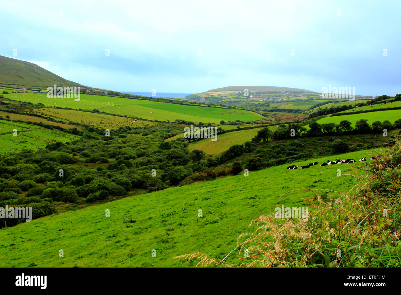 Ireland eire irish landscape green scenery