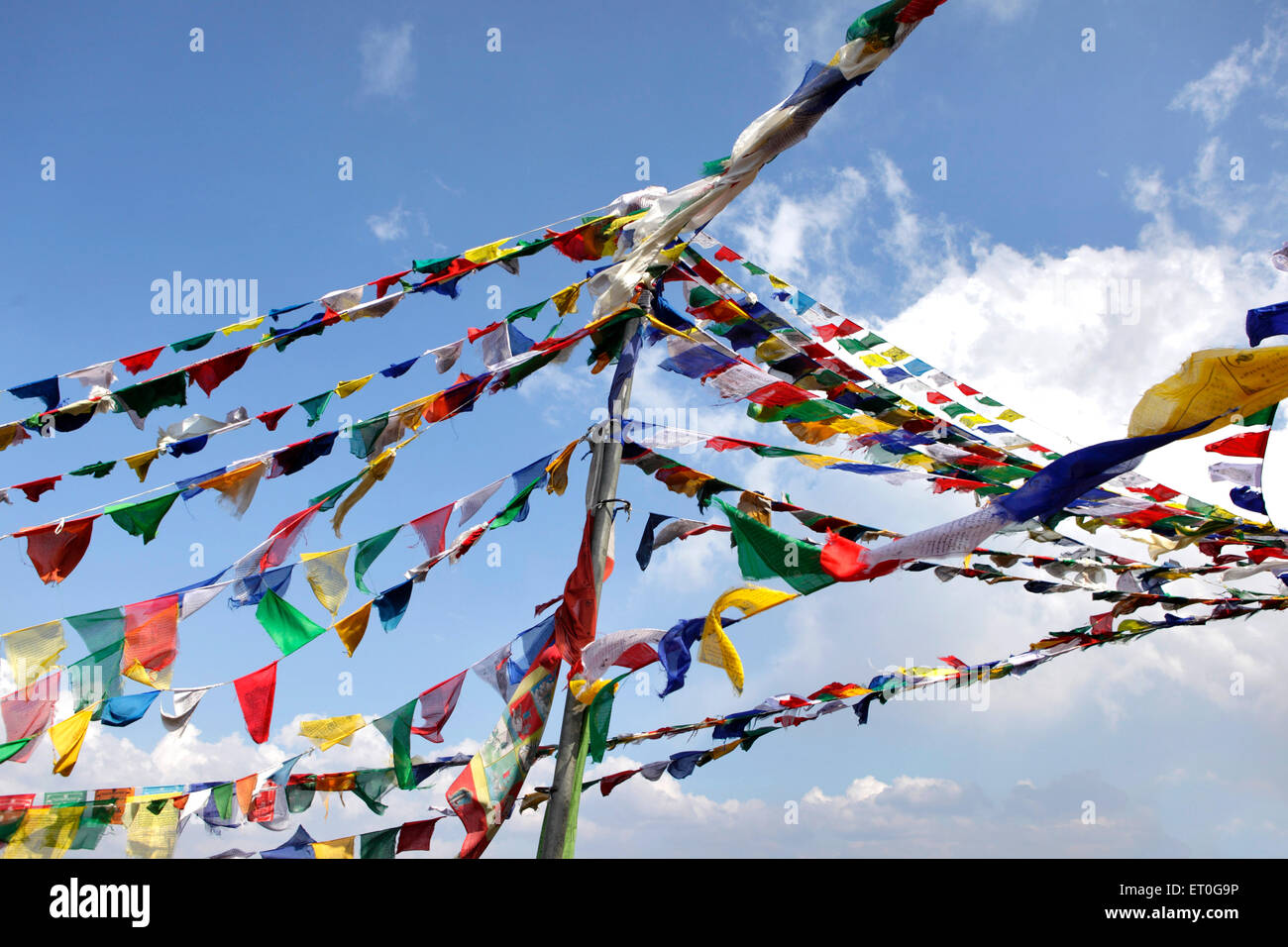 Prayer flags , Shedup Choephelling , Buddhist Temple , Happy valley , Charleville , Mussoorie , Dehradun , Uttaranchal ,  Uttarakhand , India , Asia Stock Photo