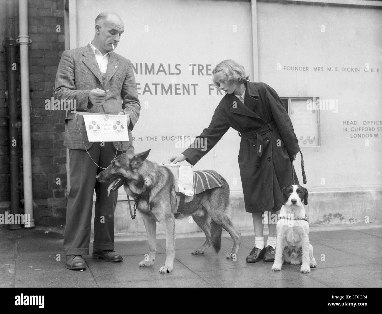 PDSA flag day collection in Coventry. Circa 1960 Stock Photo