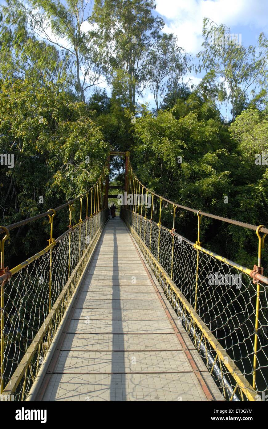 Hanging bridge to enter Nisargdham , Nisargadhama forest , Kushalnagar , Mudbidri , Moodbidri , Coorg , Karnataka , India , Asia Stock Photo