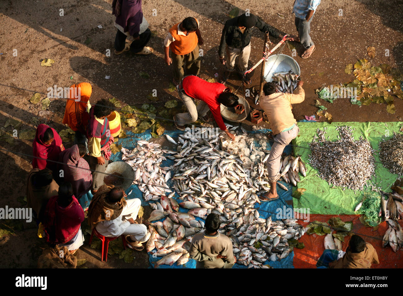 Fish market at Ranchi city capital of Jharkhand ; India Stock Photo