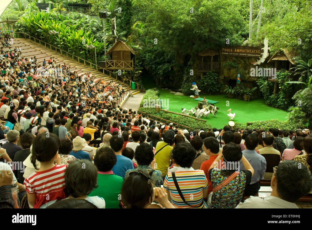 Tourist watching Bird show at Jurong Bird Park Singapore Asia Stock Photo