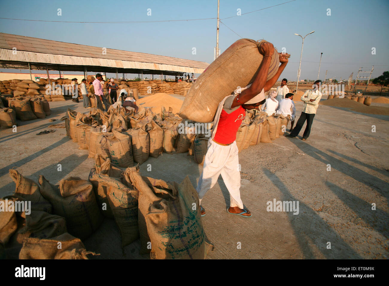 Jute Worker High Resolution Stock Photography and Images Alamy