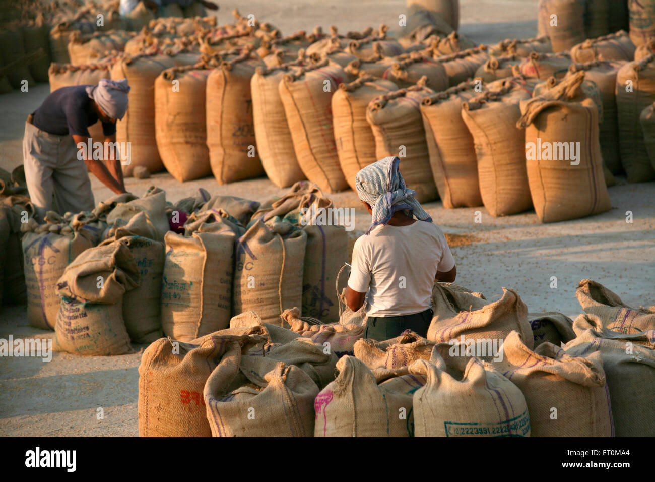 Workers sewing jute bags containing food grains at Harsud Mandi ; food