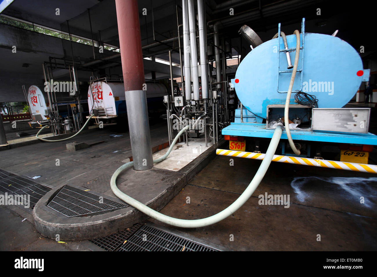 Milk tankers emptying milk collected from various collection centres in different villages of Gujarat at Amul factory Stock Photo