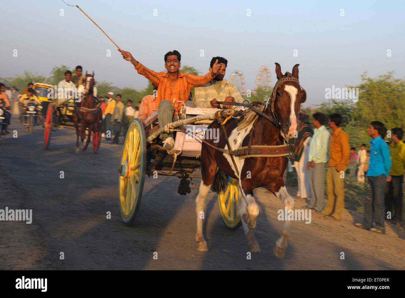 Horse cart racing, Pushkar Fair, Camel Fair, Kartik Mela, Pushkar Mela, Pushkar, Ajmer, Rajasthan, India, Indian fairs Stock Photo
