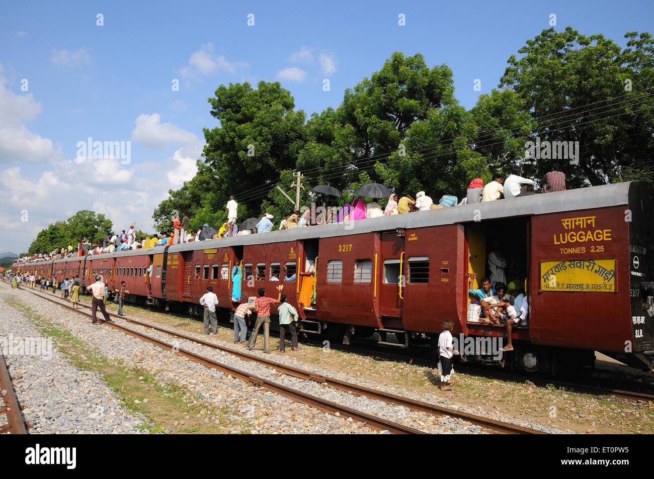 People climbing on roof of train for risky travel ; Marwar railway station ; Rajasthan ; India Stock Photo