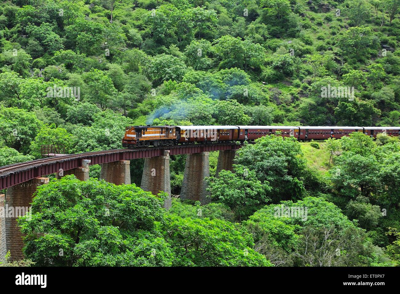 Train running on bridge ; Goram ghat ; Marwar Junction ; Rajasthan ; India Stock Photo