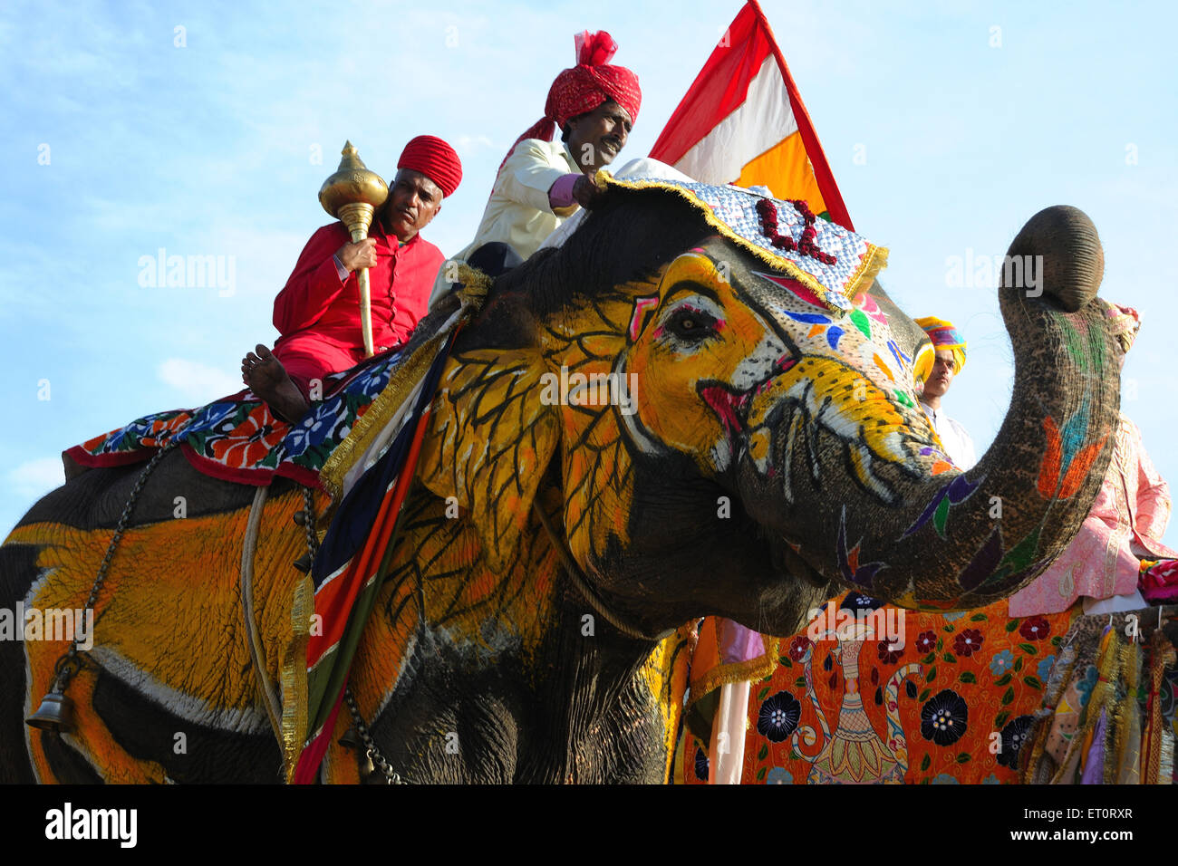 painted elephant, elephant decorated, elephant decoration, elephant