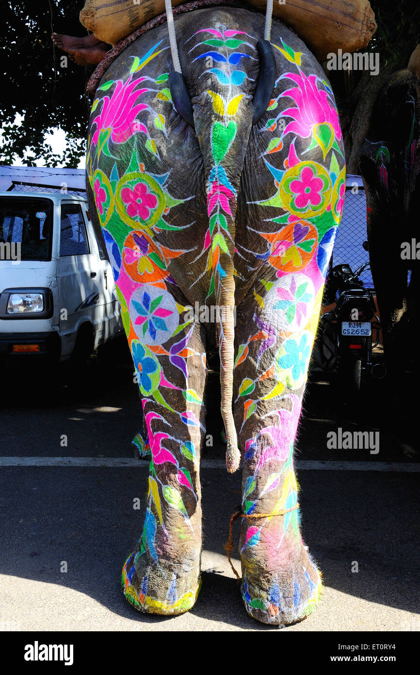 Painted elephant ; Jaipur ; Rajasthan ; India Stock Photo Alamy