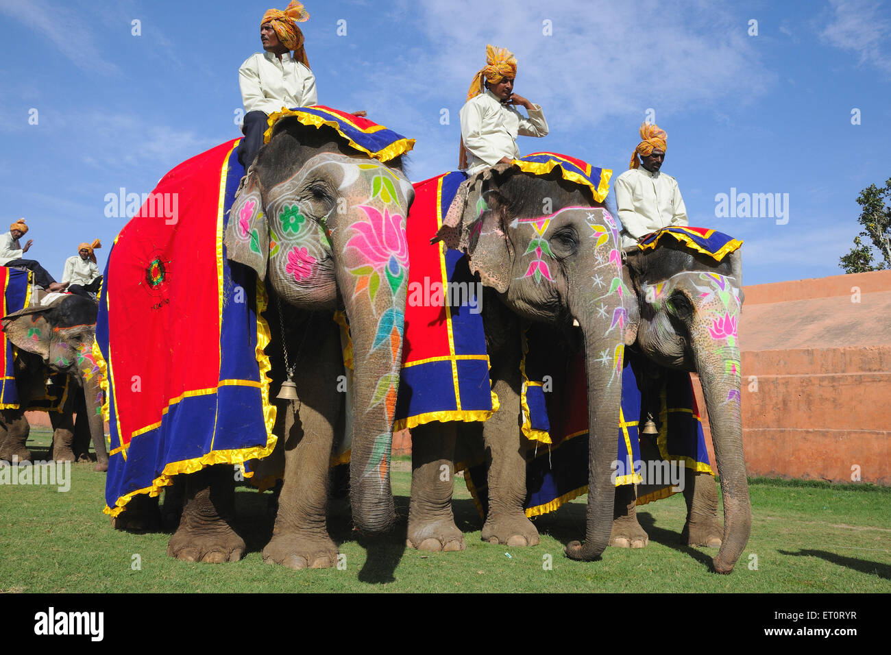 Mahouts on elephant ; Jaipur ; Rajasthan ; India Stock Photo
