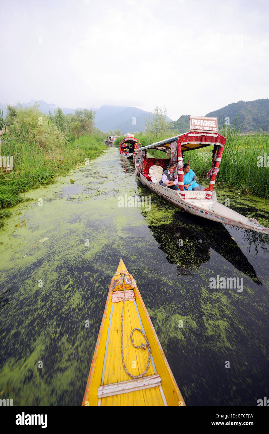 Canoe shikaras in dal lake ; Srinagar ; Jammu and Kashmir ; India Stock Photo