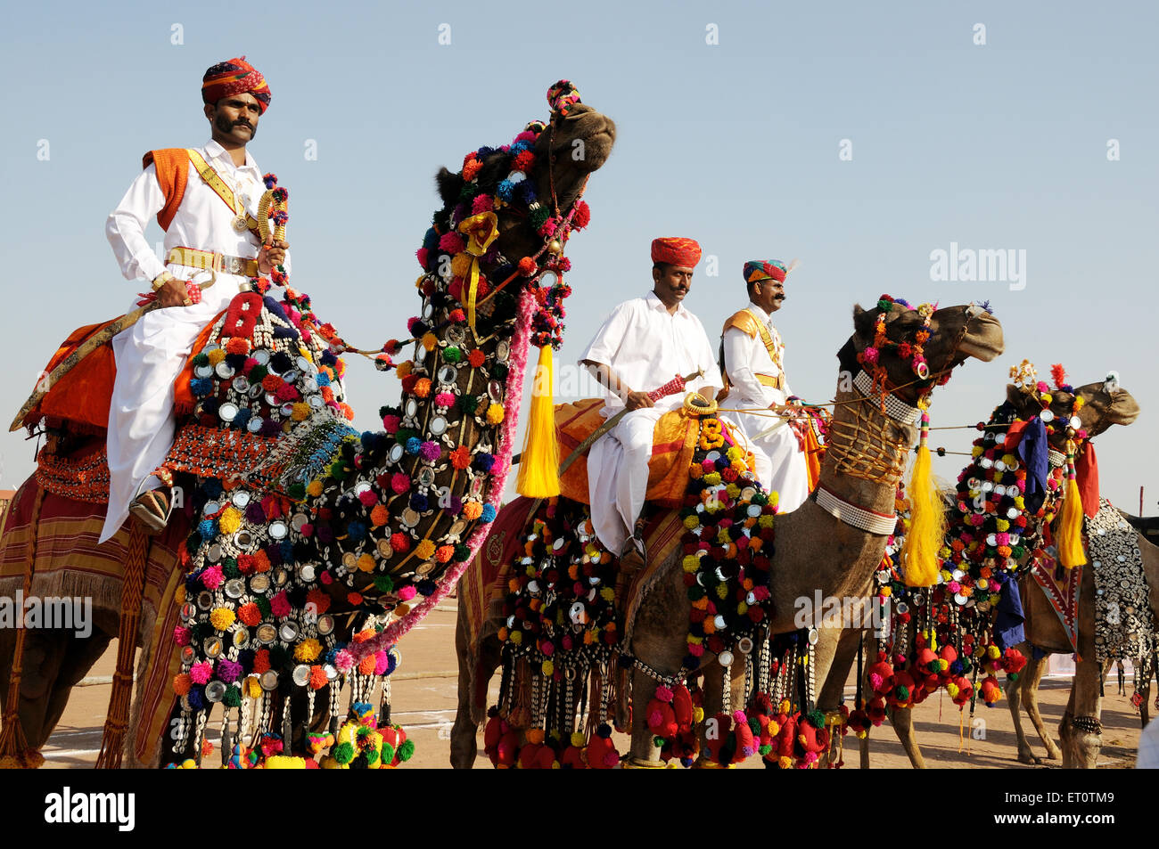 People sitting on camels ; Rajasthan ; India Mr#786 Stock Photo