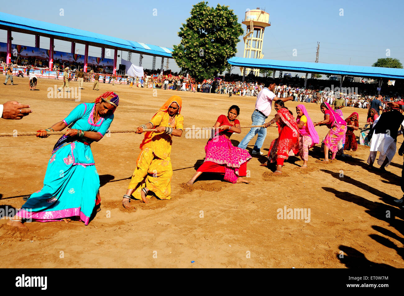 Village women playing rassa kassi game at pushkar FAIR ; Rajasthan ; India Stock Photo