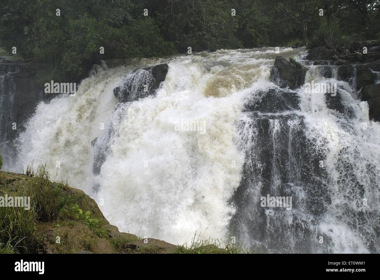 Hogenakkal Water Falls, river Cauvery, Kaveri river, Hogenakal, Dharmapuri, Chamrajnagar, Tamil Nadu, India Stock Photo