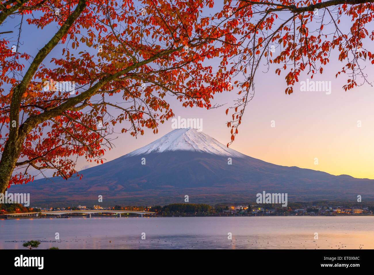 Mt. Fuji, Japan at Lake Kawaguchi during autumn season. Stock Photo