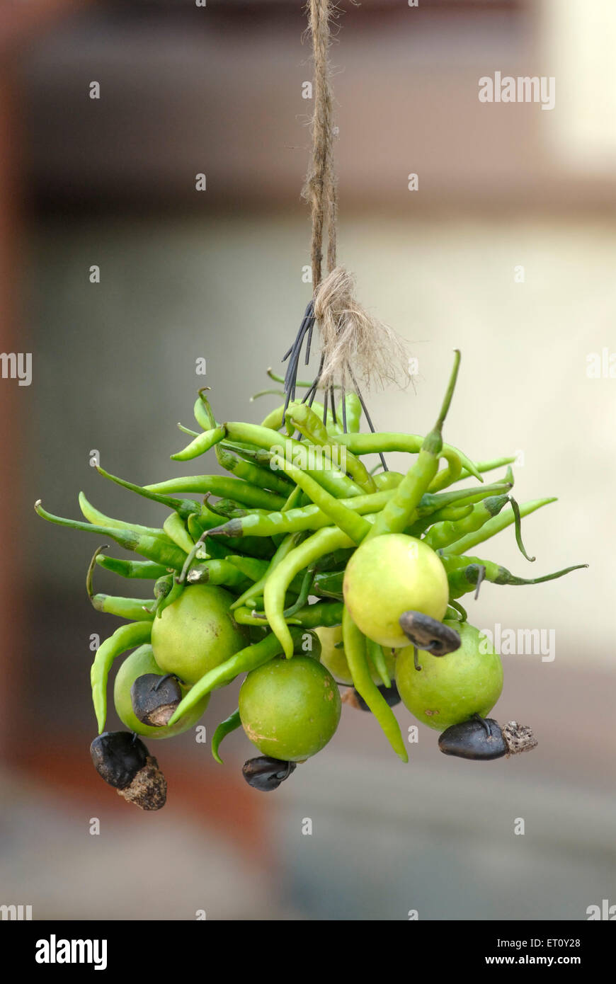 Green chilli lemon coal superstition India Stock Photo