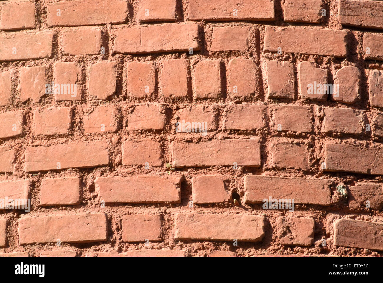 Brickwork wall, Bassein, Vasai, Thane, Maharashtra, India Stock Photo