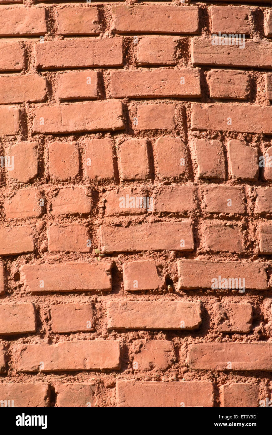 Brickwork of external wall ; Bassein Vasai District ; Thane ; Maharashtra ; India Stock Photo