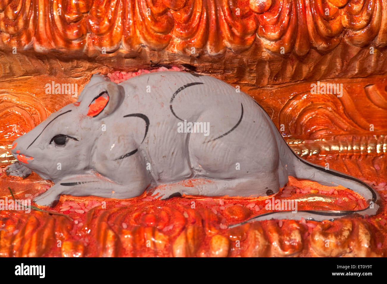 A rat king hi-res stock photography and images - Alamy