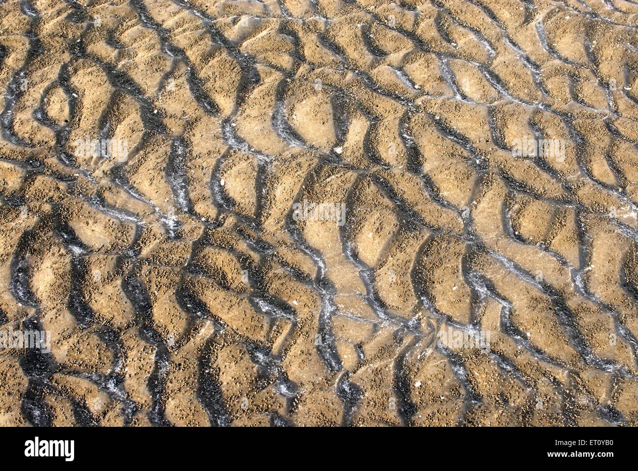 Pattern of sand form due to sea waves and small balls created by crabs at Kalamb beach ; Bassein Vasai ; District Thane Stock Photo