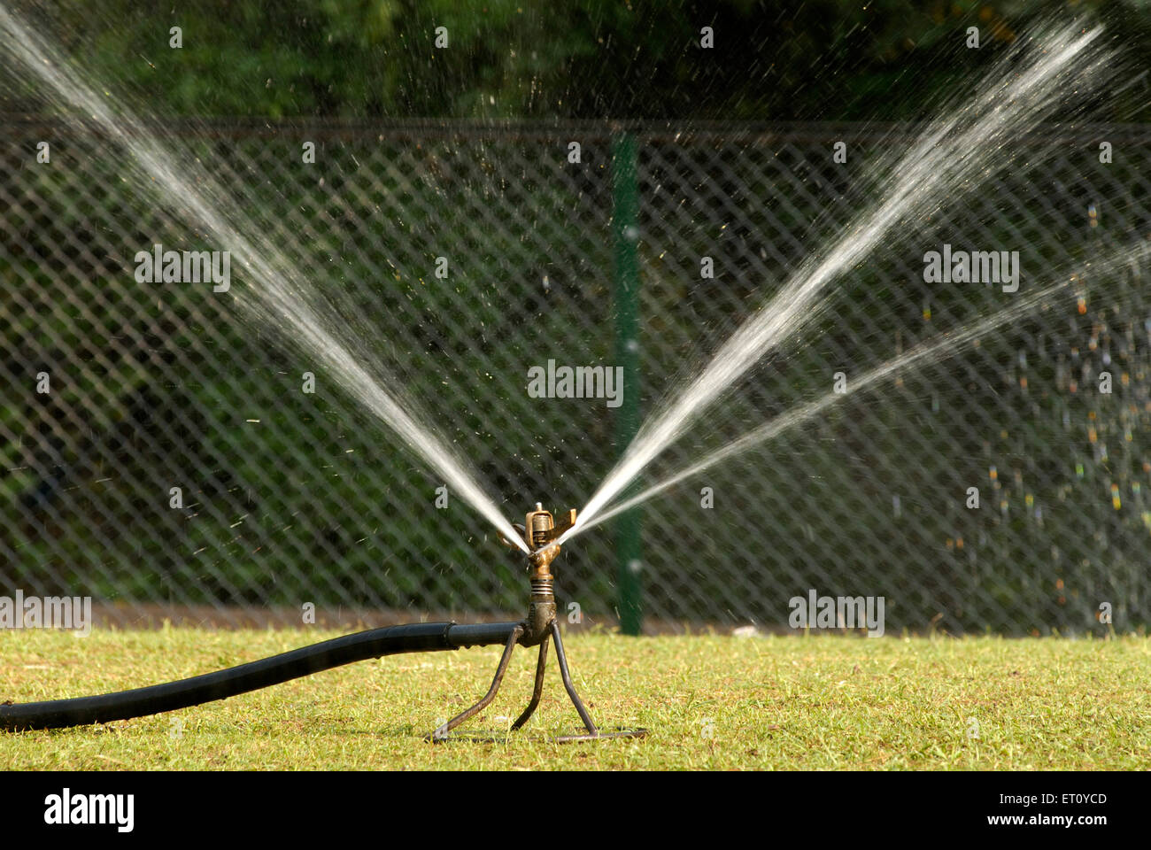 Water sprinkler with rotary nozzle at Saras Baug ; Pune ; Maharashtra ; India Stock Photo