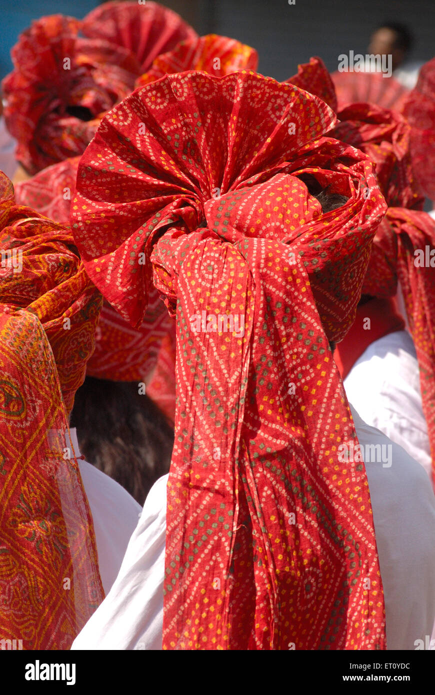 Close up of man wearing turban from back side in procession for celebrating Mahashivratri festival ; Pune ; Maharashtra Stock Photo