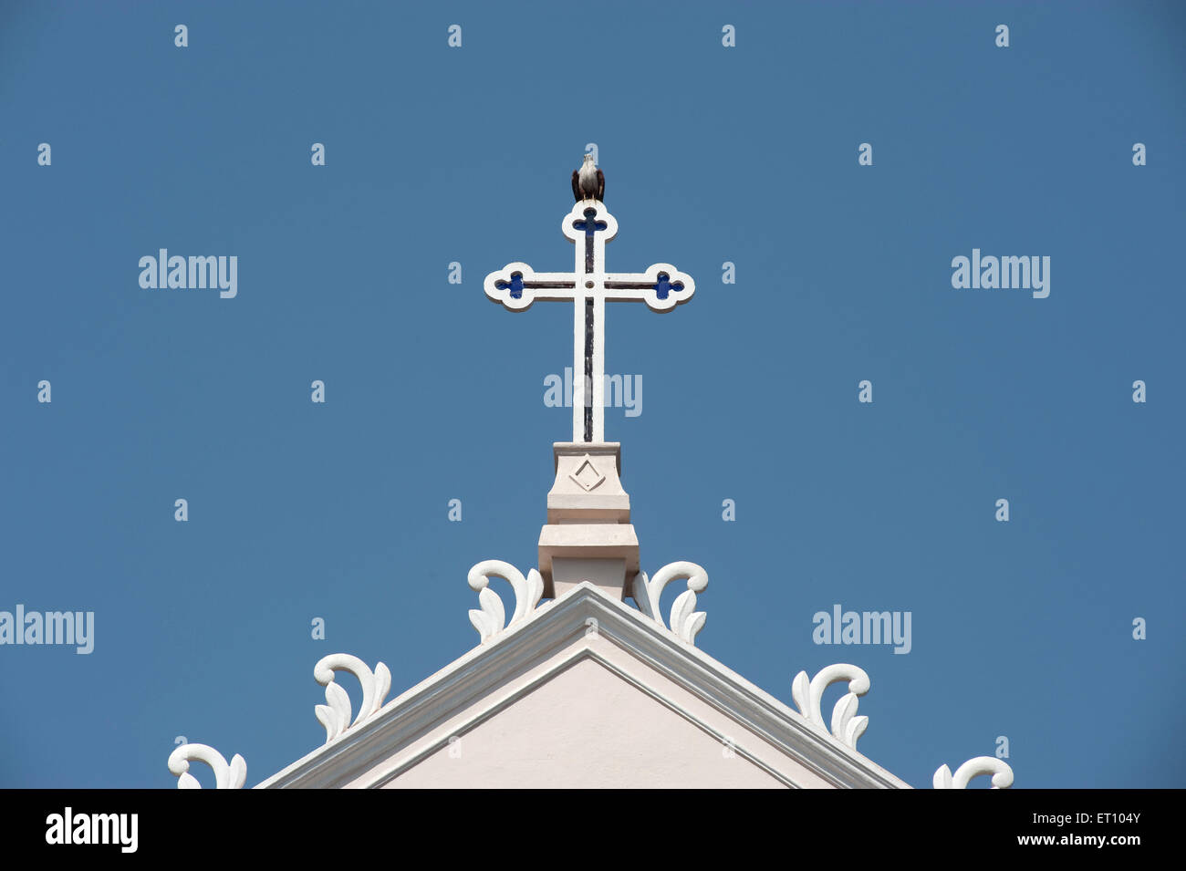 Cross with brahminy kite bird sitting on bishop house todiyalbail church ; Mangalore ; Karnataka ; India 2010 Stock Photo
