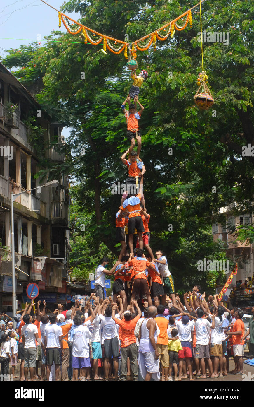 Human pyramid trying to break dahi handi on janmashtami festival at dadar ; Bombay ; Mumbai ; Maharashtra ; India Stock Photo