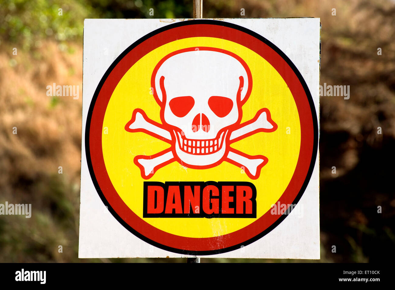Danger sign at sinquerim beach ; Goa ; India Stock Photo