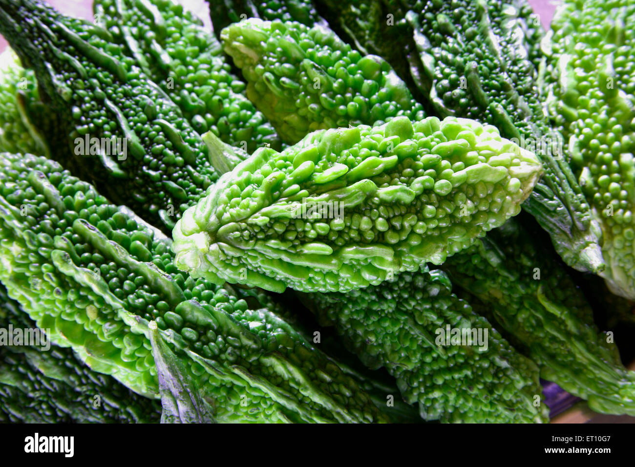 Green vegetable ; karela bitter gourd momordica charantia Stock Photo