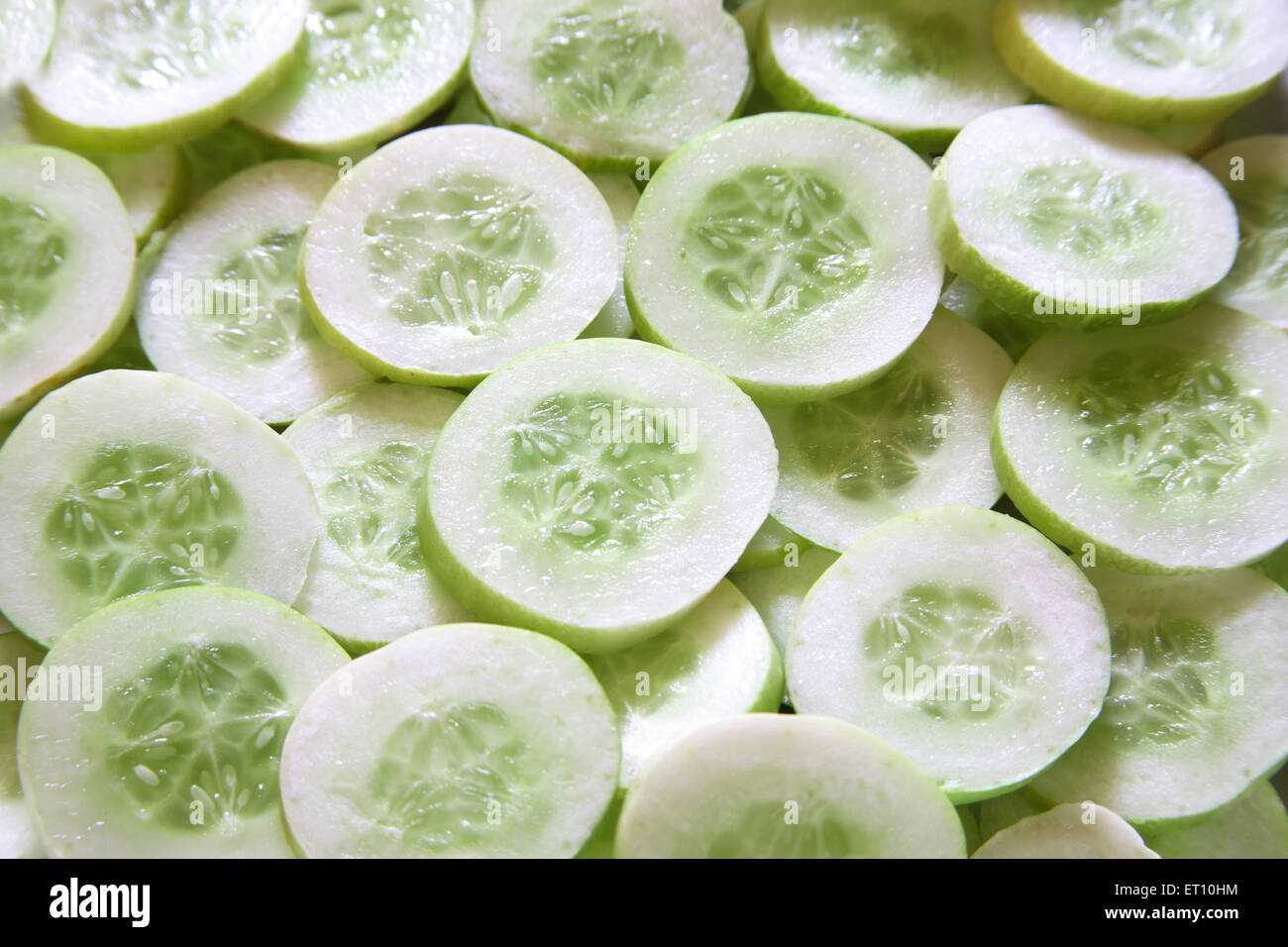 Green vegetable ; kakri cucumbers cucumis utilissimus round slices