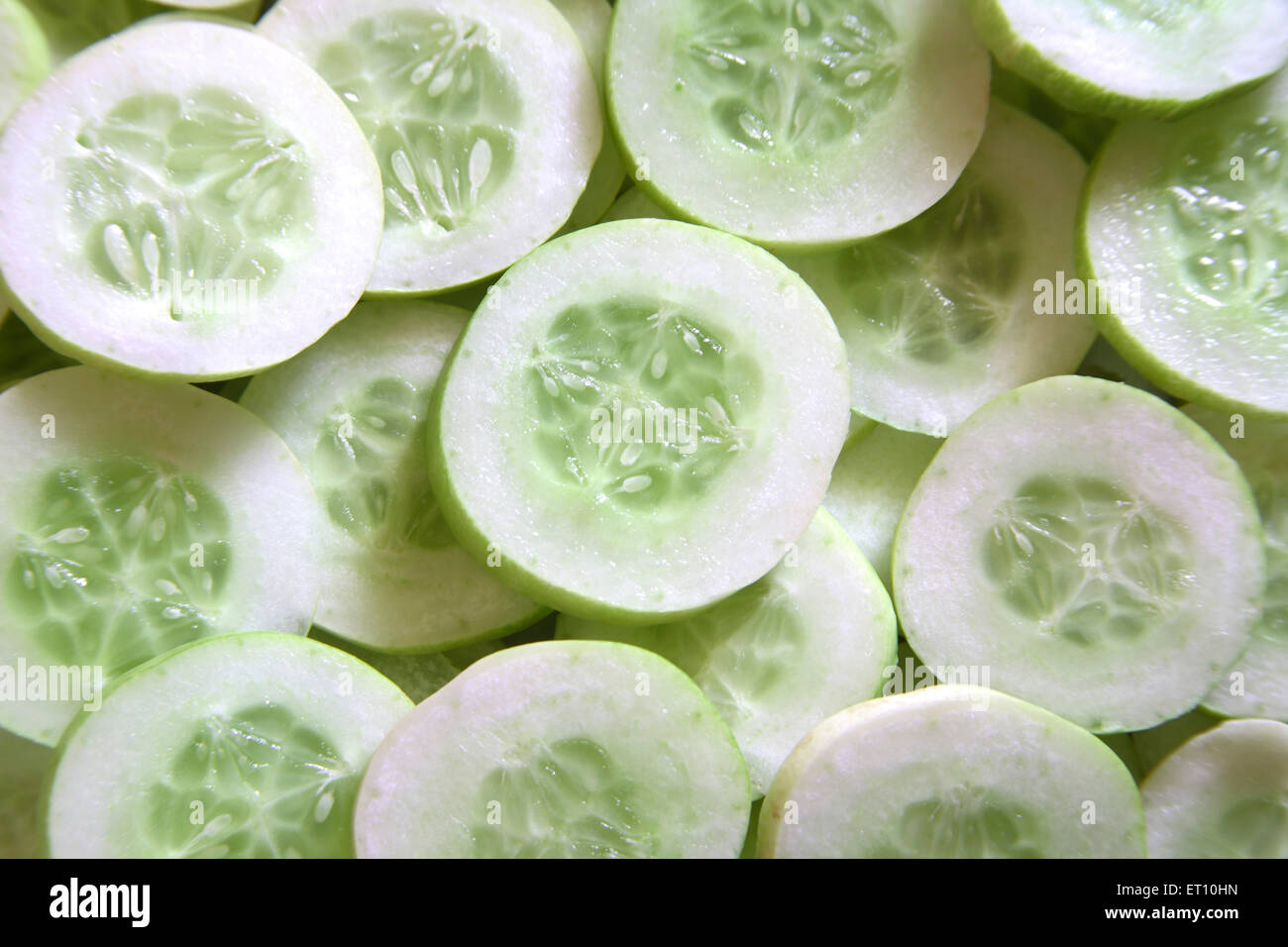 Green vegetable ; kakri cucumbers cucumis utilissimus round slices